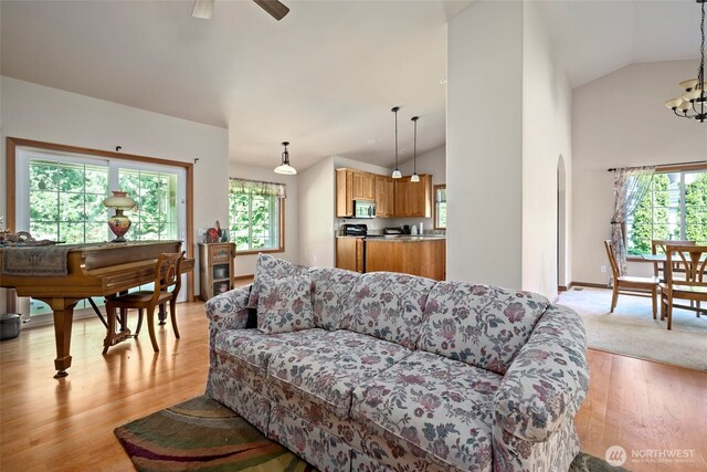 3210 275th St NE, Arlington, WA 98223 - living room featuring vaulted ceiling, light wood finished floors, and a ceiling fan