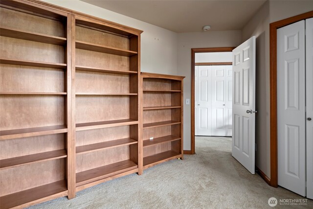 3210 275th St NE, Arlington, WA 98223 - spacious closet featuring carpet floors