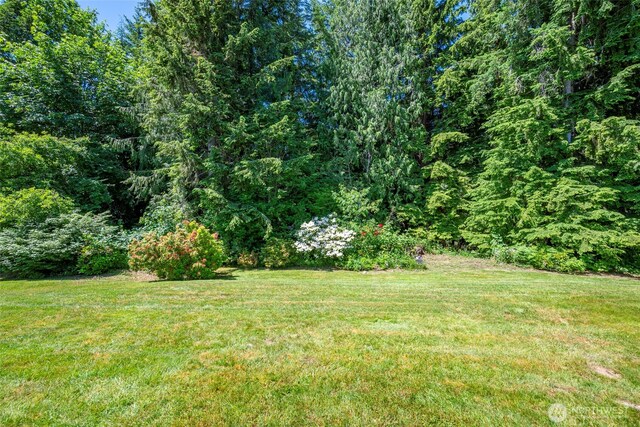 3210 275th St NE, Arlington, WA 98223 - view of grassy yard featuring a wooded view