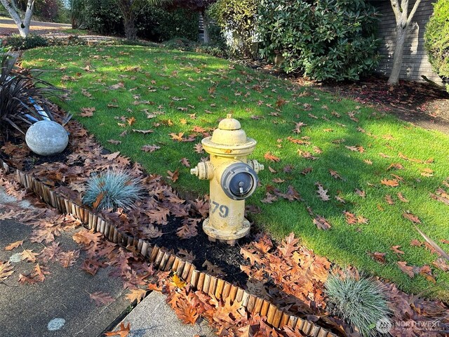 37XX Meadow Ave N, Renton, WA 98056 - photo 10