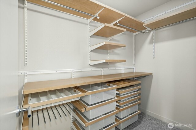 3219 California Ave SW Unit B, Seattle, WA 98116 - spacious closet featuring carpet flooring
