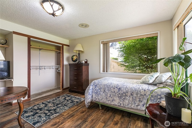 405 E Wiser Lake Rd, Lynden, WA 98264 - bedroom featuring multiple windows, wood finished floors, a closet, and a textured ceiling