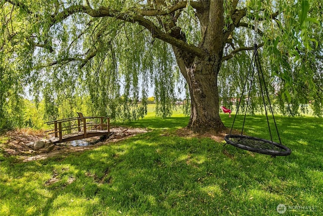 405 E Wiser Lake Rd, Lynden, WA 98264 - view of grassy yard
