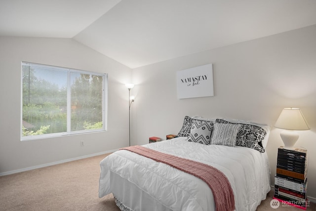 8828 238th St SW Unit D-1, Edmonds, WA 98026 - bedroom with lofted ceiling and carpet