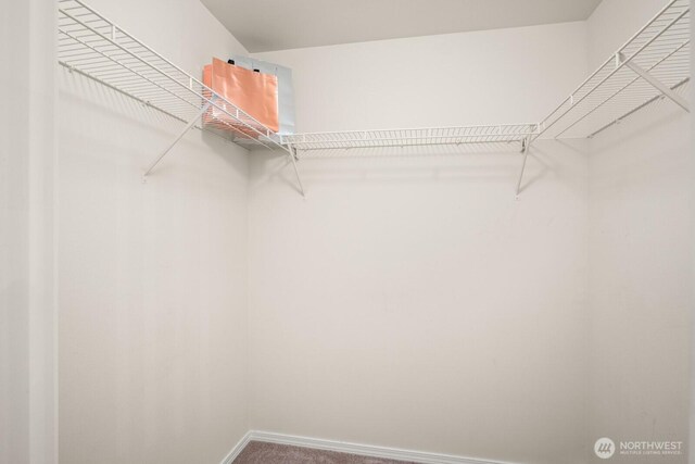 8828 238th St SW Unit D-1, Edmonds, WA 98026 - walk in closet featuring carpet floors