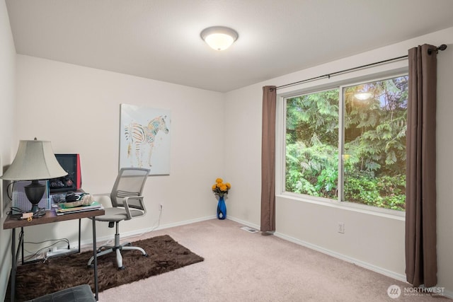 8828 238th St SW Unit D-1, Edmonds, WA 98026 - carpeted office space featuring baseboards