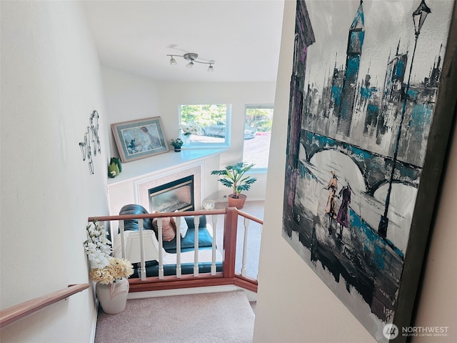 8828 238th St SW Unit D-1, Edmonds, WA 98026 - corridor with carpet flooring