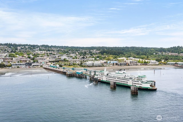 8828 238th St SW Unit D-1, Edmonds, WA 98026 - drone / aerial view of a nearby body of water