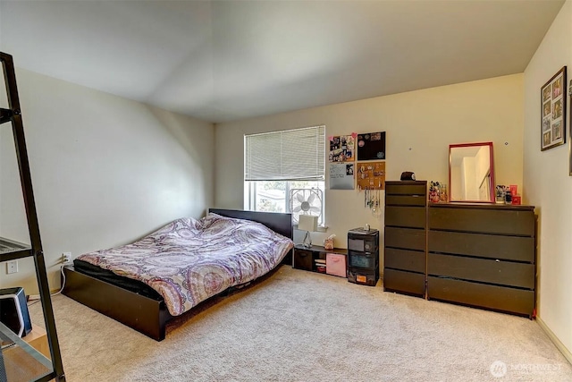 536ST N 103rd Unit A, Seattle, WA 98133 - view of carpeted bedroom
