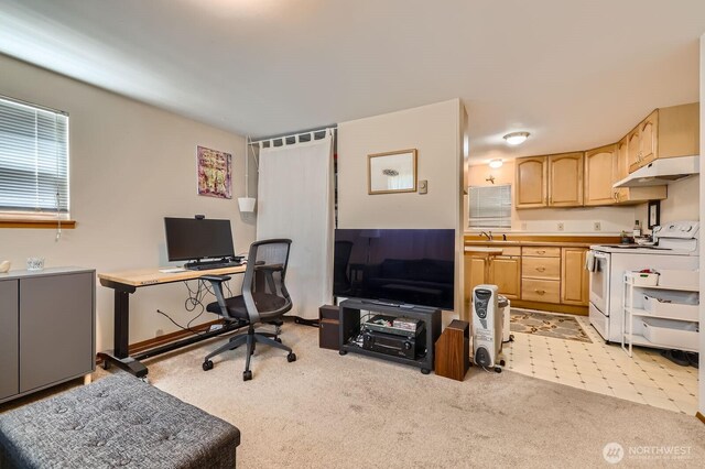 12019B 25th Ave NE, Seattle, WA 98125 - office featuring light carpet and a sink