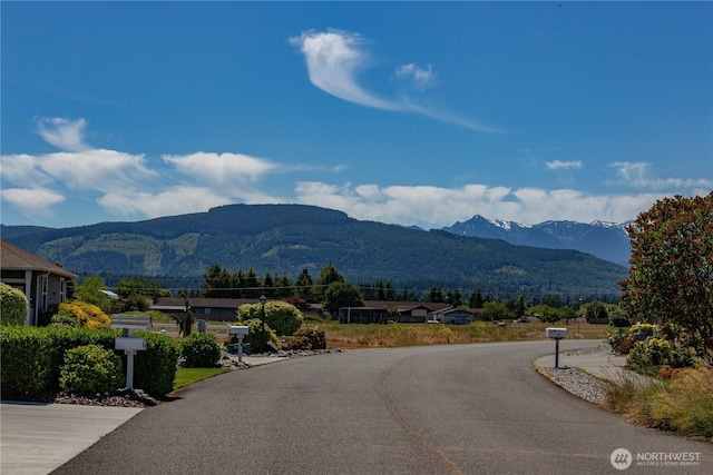 252 Mariners Dr, Sequim, WA 98382 - mountain view