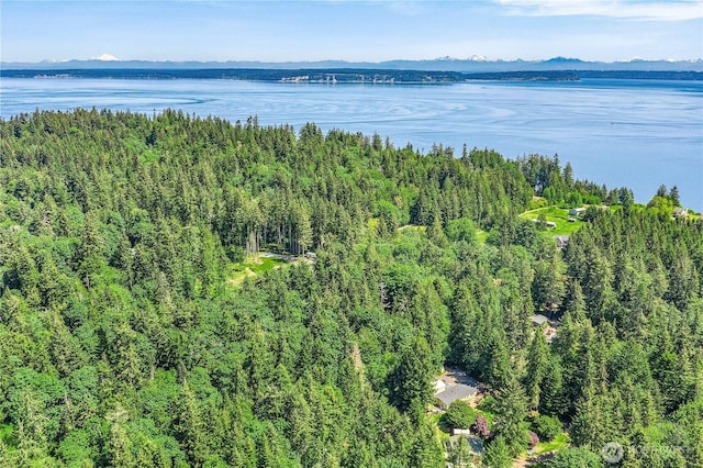 0 Pilot Point Rd NE, Kingston, WA 98346