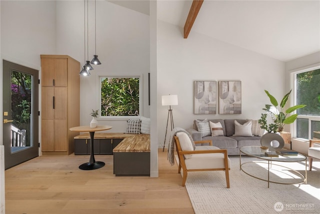 4058 173rd Pl SE, Bellevue, WA 98008 - living room featuring high vaulted ceiling, light wood-style flooring, and beam ceiling