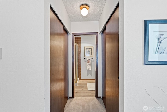 12840 SE 40th Ct Unit A4, Bellevue, WA 98006 - hallway with a textured ceiling, light colored carpet, and baseboards