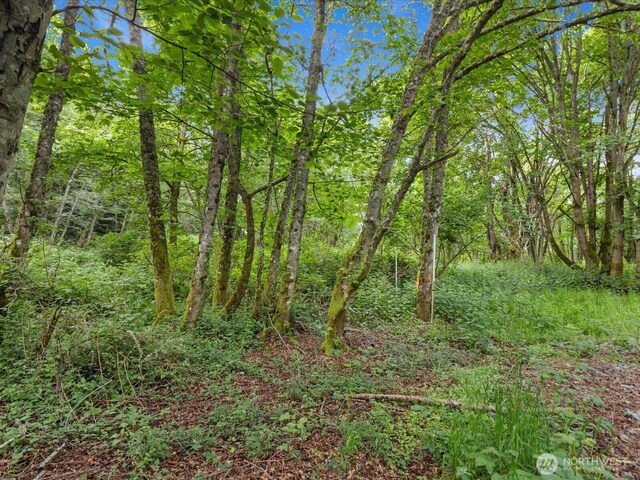 4061 Eagle Ridge Dr, Camano Island, WA 98282 - photo 4