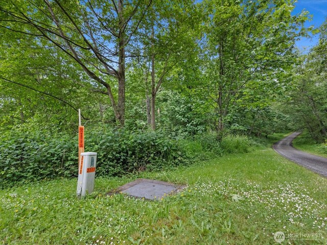 4061 Eagle Ridge Dr, Camano Island, WA 98282 - photo 6