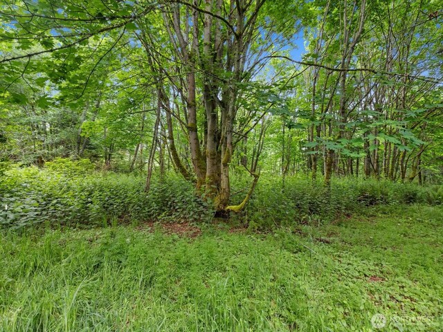 4061 Eagle Ridge Dr, Camano Island, WA 98282 - photo 7