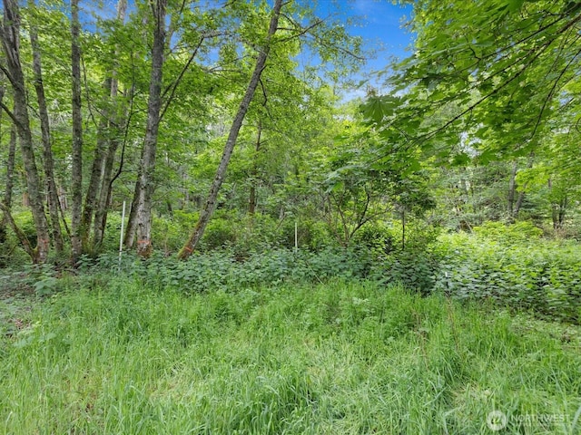 4061 Eagle Ridge Dr, Camano Island, WA 98282 - photo 8