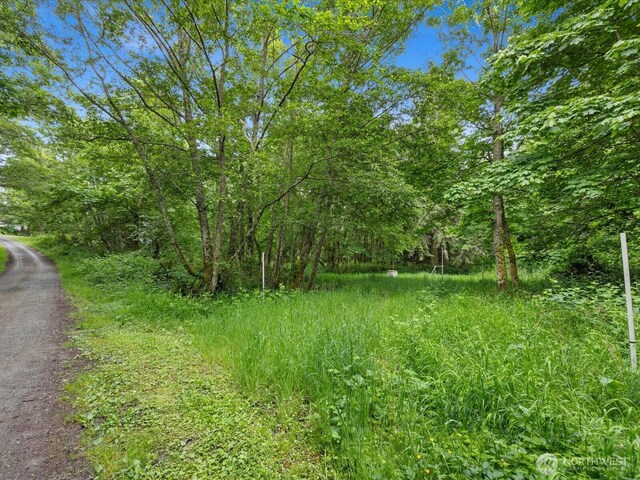4061 Eagle Ridge Dr, Camano Island, WA 98282 - photo 12
