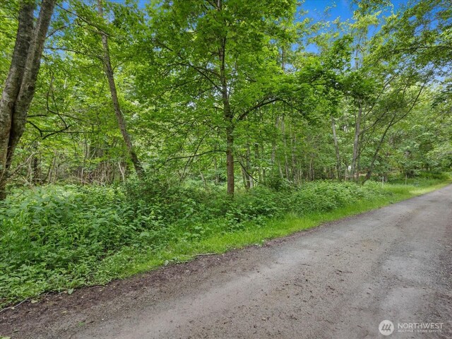 4061 Eagle Ridge Dr, Camano Island, WA 98282 - photo 13