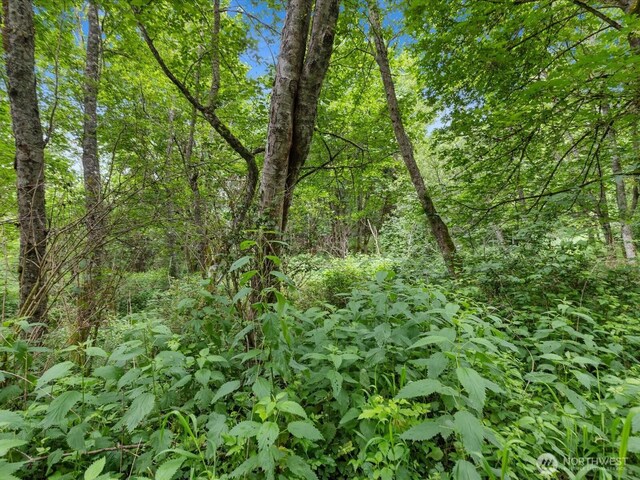 4061 Eagle Ridge Dr, Camano Island, WA 98282 - photo 14