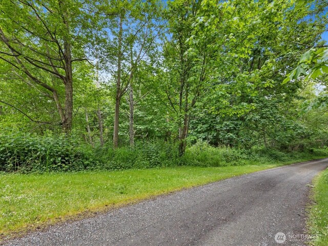 4061 Eagle Ridge Dr, Camano Island, WA 98282 - photo 15