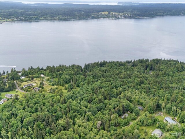 4061 Eagle Ridge Dr, Camano Island, WA 98282 - photo 16