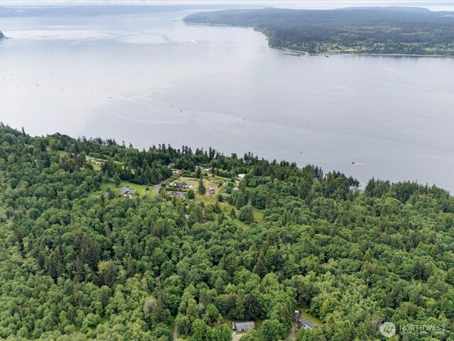 4061 Eagle Ridge Dr, Camano Island, WA 98282 - photo 17