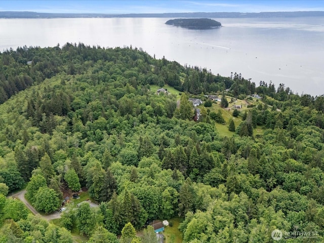 4061 Eagle Ridge Dr, Camano Island, WA 98282 - photo 18