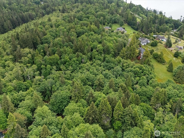 4061 Eagle Ridge Dr, Camano Island, WA 98282 - photo 3