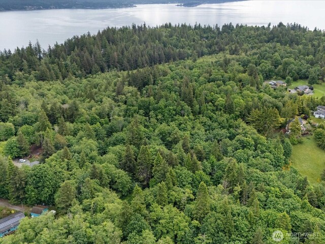 4061 Eagle Ridge Dr, Camano Island, WA 98282 - photo 20