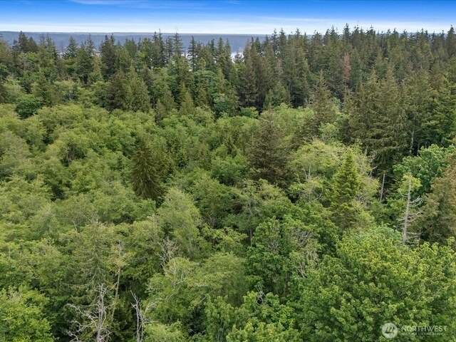 4061 Eagle Ridge Dr, Camano Island, WA 98282 - photo 23