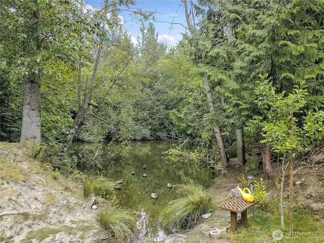 6511 127th Street Ct E Unit 19, Puyallup, WA 98373 - view of local wilderness