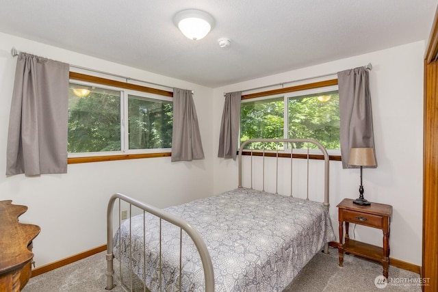 21709 Jordan Rd, Arlington, WA 98223 - carpeted bedroom with baseboards