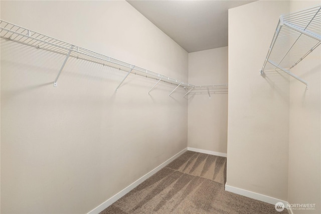 15201 82nd Ave E, Puyallup, WA 98375 - photo 14