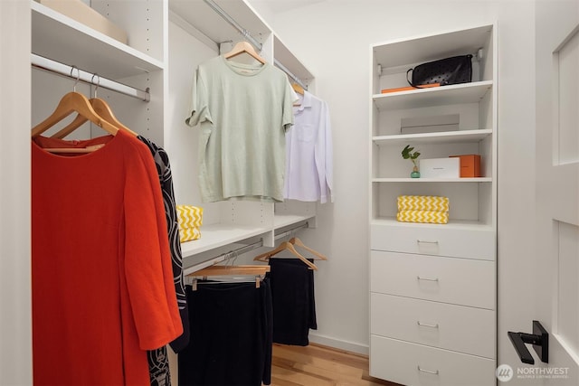 3852 Beach Dr SW Unit A, Seattle, WA 98116 - spacious closet with light wood-style floors
