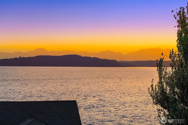 3852 Beach Dr SW Unit A, Seattle, WA 98116 - water view