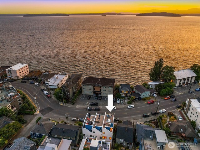 3852 Beach Dr SW Unit A, Seattle, WA 98116 - aerial view at dusk of a mountain view