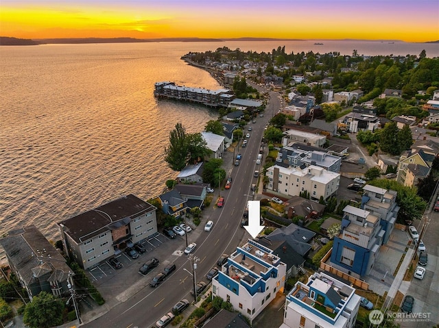 3852 Beach Dr SW Unit A, Seattle, WA 98116 - aerial view at dusk of a water view