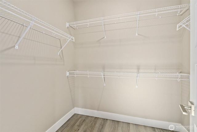2114 Hawks View Ln, Winlock, WA 98596 - walk in closet with wood finished floors