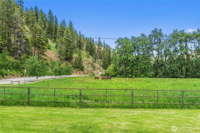 1361 Mission Creek Rd, Cashmere, WA 98815 - view of yard with a forest view and a view of countryside