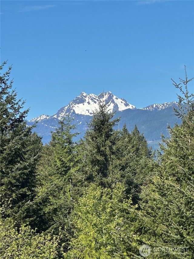 14885 NW Eagles View Dr, Seabeck, WA 98380 - photo 21