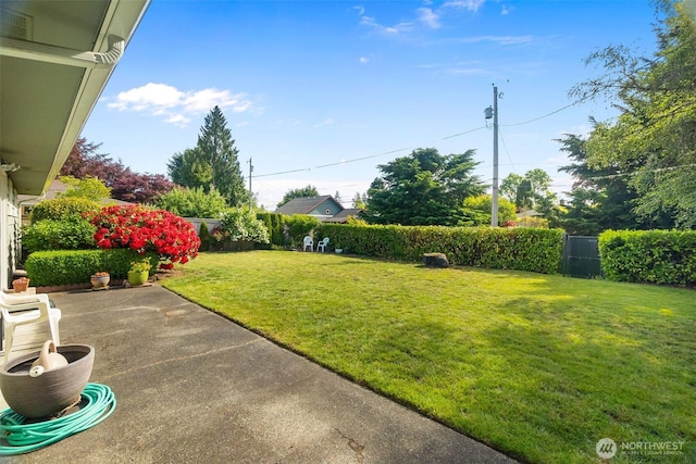 702 Cushing St SW, Olympia, WA 98502 - view of yard featuring a patio