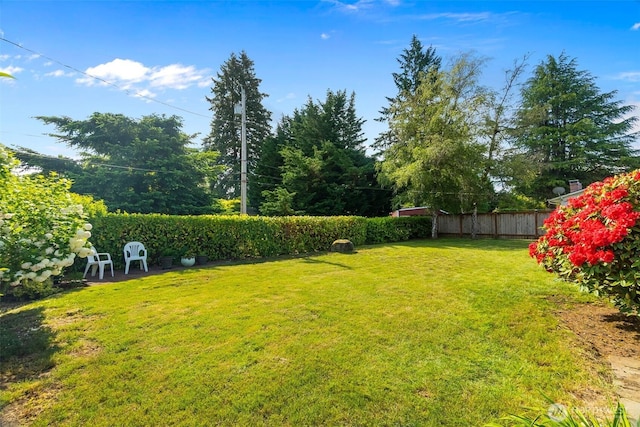 702 Cushing St SW, Olympia, WA 98502 - view of yard