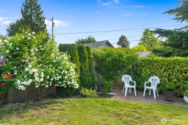 702 Cushing St SW, Olympia, WA 98502 - view of grassy yard featuring a patio area