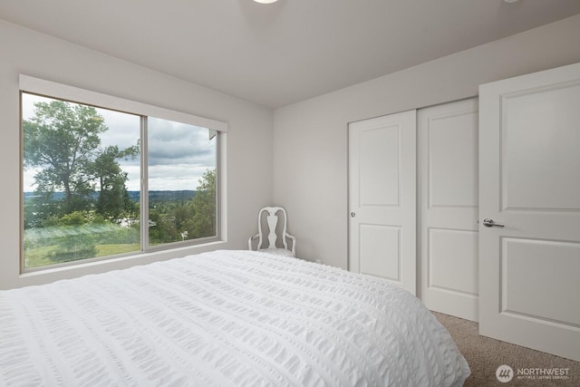 8223 31st Street Ct E, Edgewood, WA 98371 - bedroom with carpet and a closet