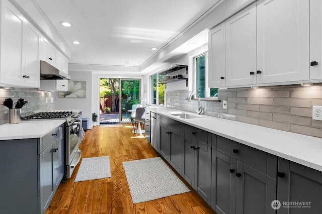 711 NW 120th St, Seattle, WA 98177 - kitchen with stainless steel appliances, a sink, exhaust hood, white cabinetry, and light wood-type flooring