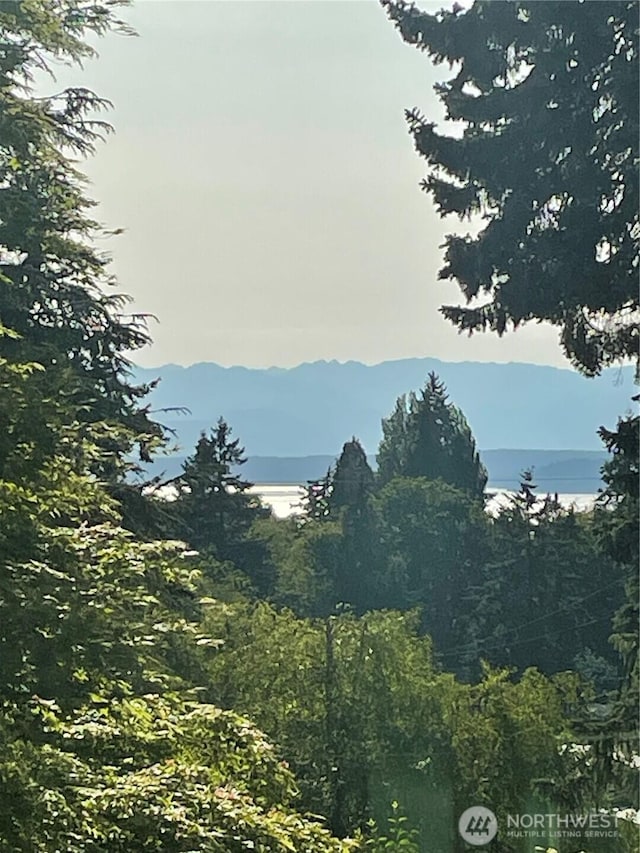 711 NW 120th St, Seattle, WA 98177 - view of mountain backdrop featuring a nearby body of water and a heavily wooded area