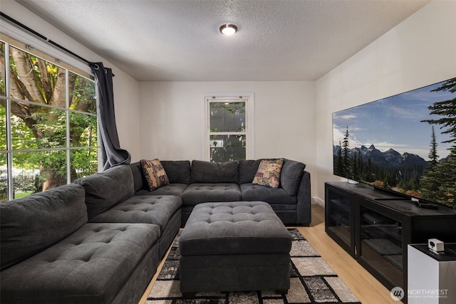 1704 27th Ave, Seattle, WA 98122 - living area featuring a textured ceiling and light wood-style flooring