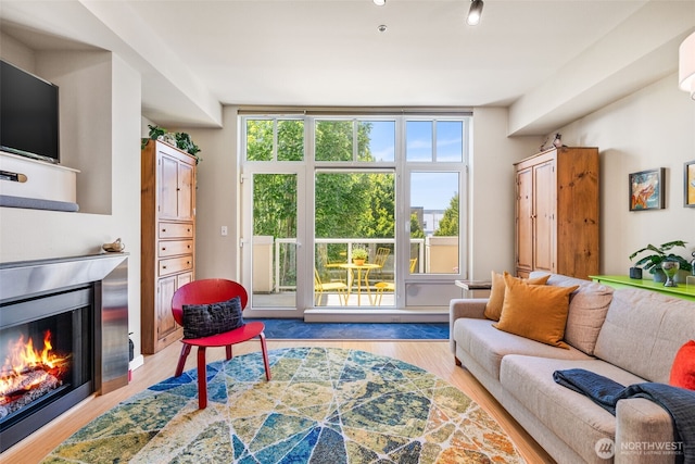 17 W Mercer St Unit 206, Seattle, WA 98119 - living area with wood finished floors and a glass covered fireplace